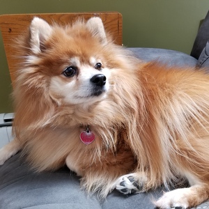 Fundraising Page: Justin Bouthillette